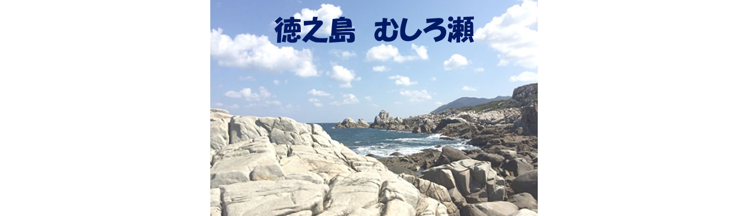 写真1 写真1