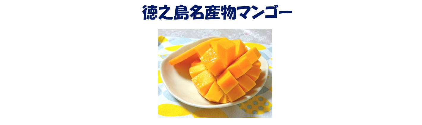 写真2 写真2
