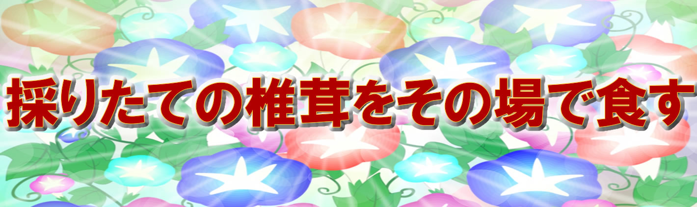見出し 見出し